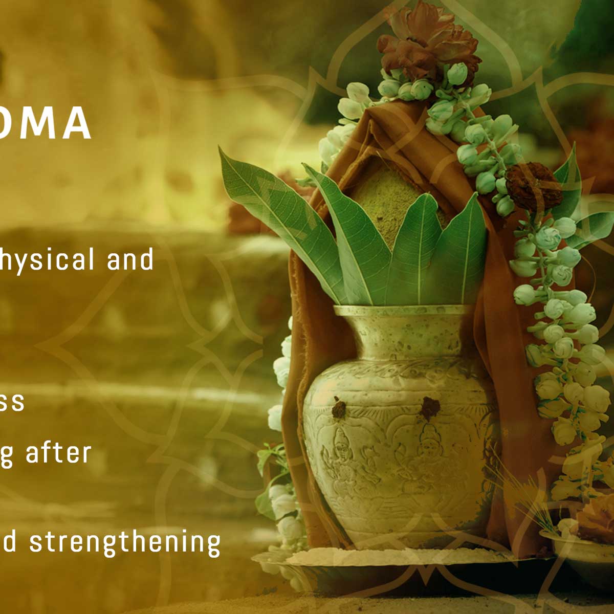 エーカム・健康のためのマハ・ダンヴァントリ・ホーマ