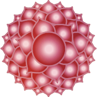 マニフェスト・へそチャクラエネルギー