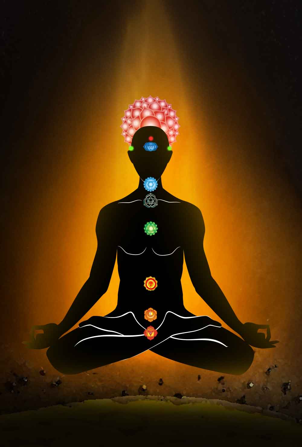 12のチャクラが正しい周波数で振動すると、「内なる静けさ」と「完全なたやすさ」を体験。宇宙知性から豊かさを引き寄せるフィールドを創り出す