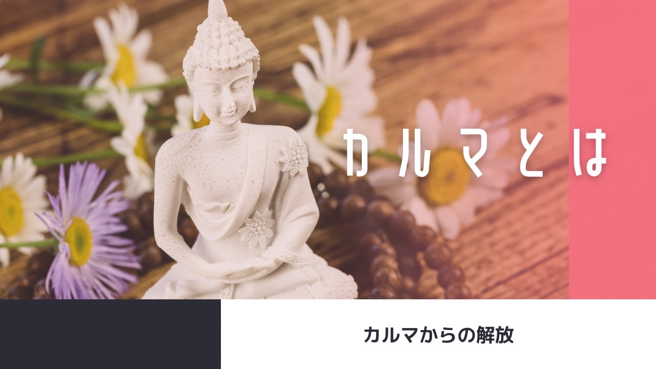 過去の因果によって、物事が”そのように”なる力【サムスカーラの浄化】を行うエーカムツアー