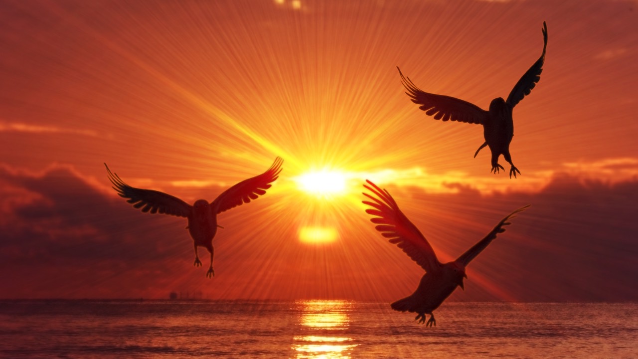 🌹今年最後のエーカムピースホーム🕊✨