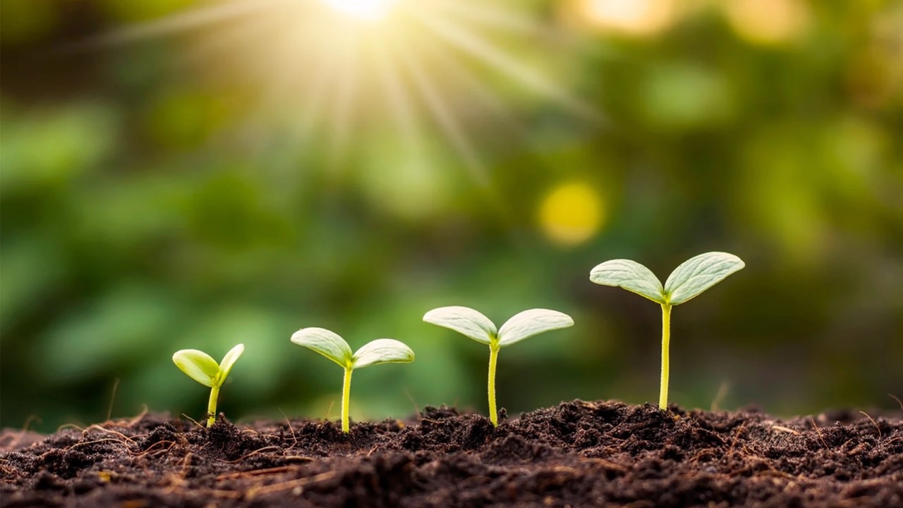 🌹真の愛とはなにか？｜シュリ・クリシュナジ