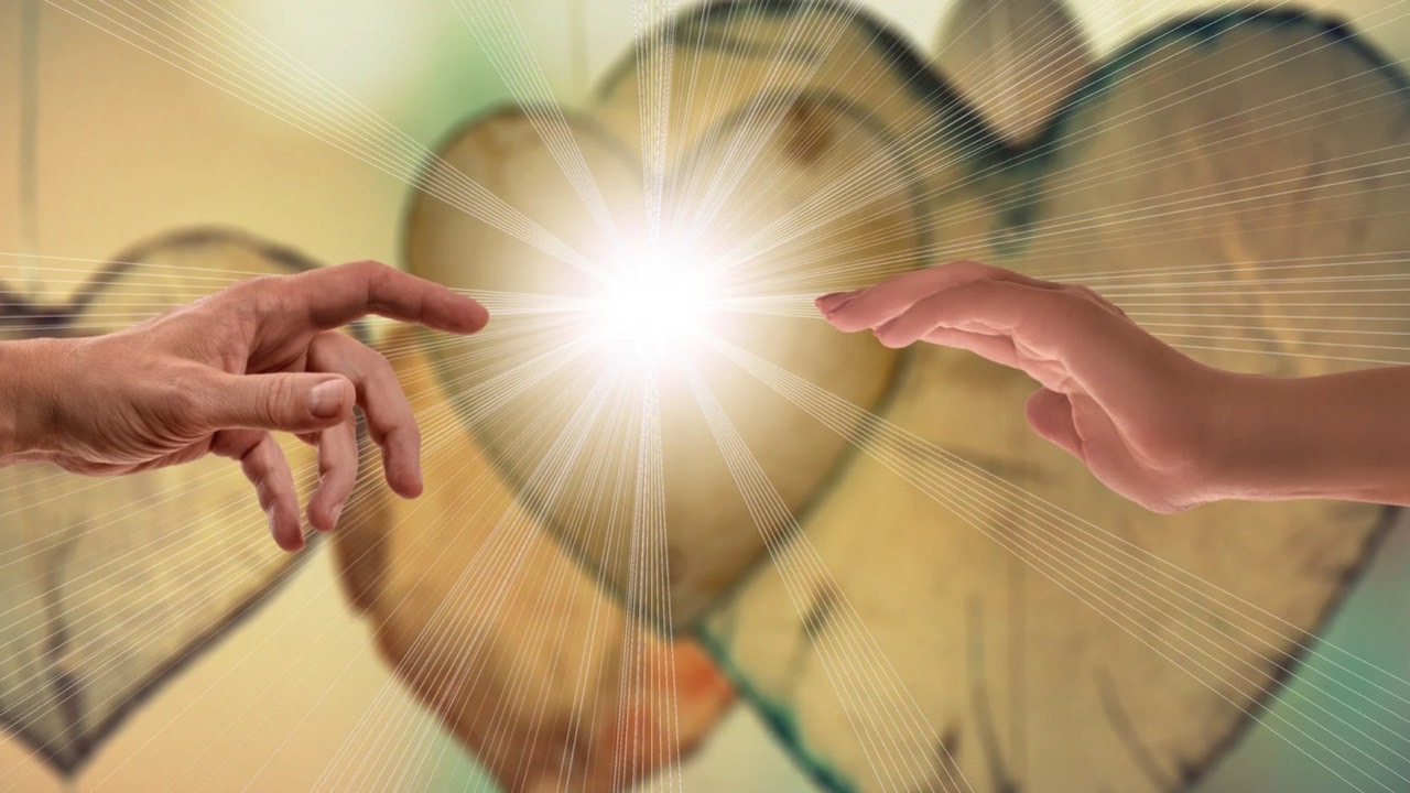 🌹生きとし生けるものに神聖を見出す｜シュリ・プリタジ　