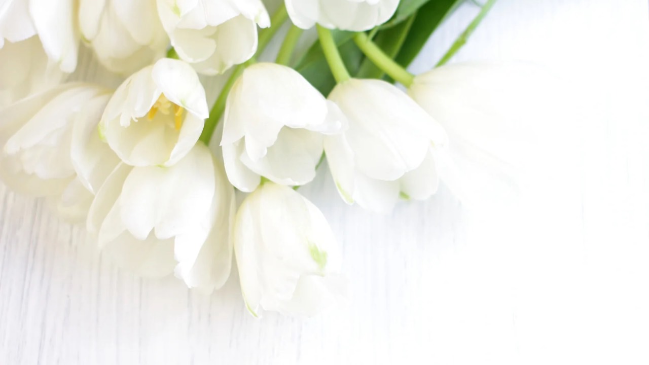 ウッタラヤナム期間中の特別なピトル・シャンティ・ホーマ