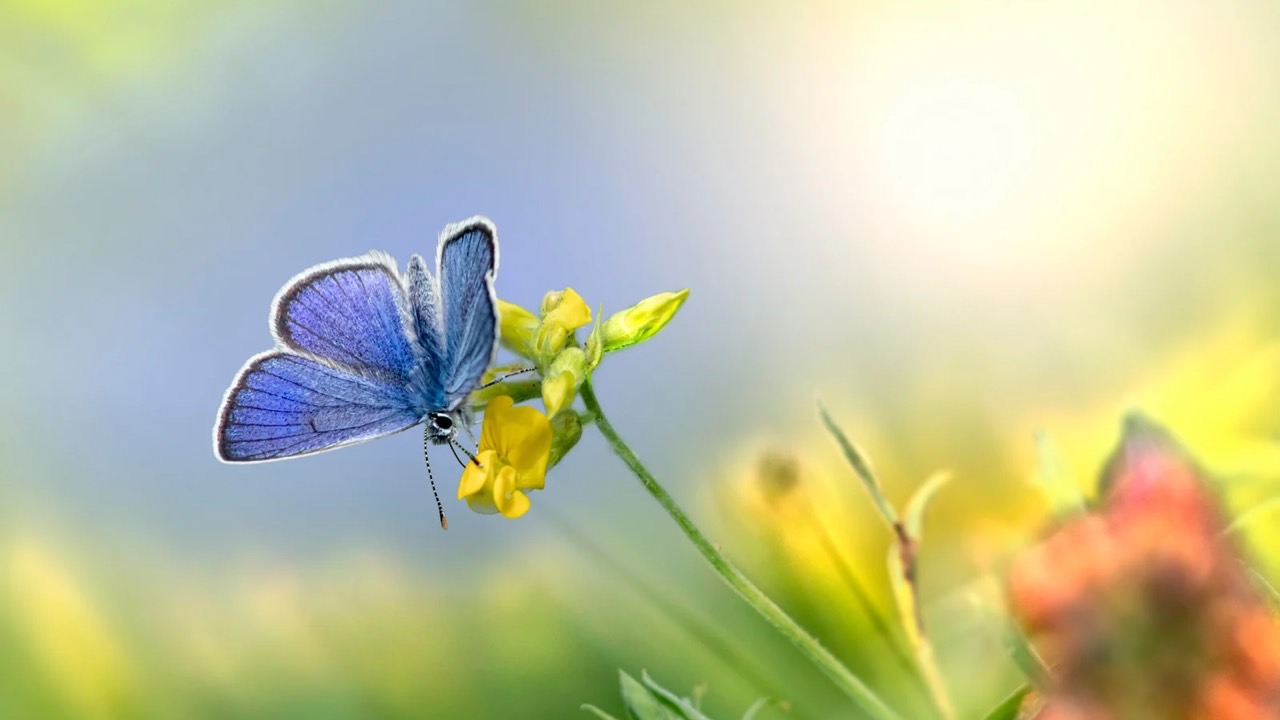 🌹【福岡】3月16日17日ストレスデトックスコース開催！！